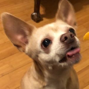 Meet your Posher, Shawn